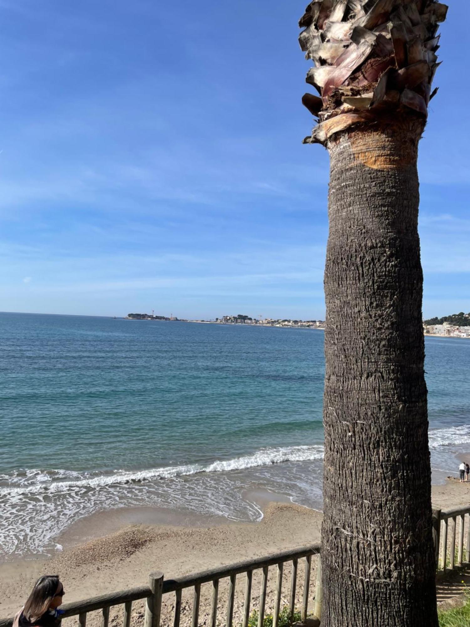 Studio Climatise Piscine Et Proche Plage Sanary-sur-Mer Dış mekan fotoğraf